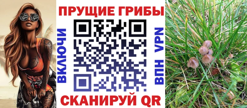 Купить закладки  Тбилисская  Псилоцибиновые грибы MAGIC MUSHROOMS 